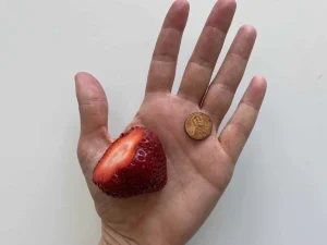 Strawberry whole with penny Solid Starts scaled 1